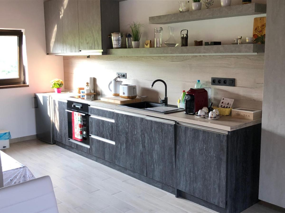 Casa Spas บันสกาบิสตรีตซา ภายนอก รูปภาพ